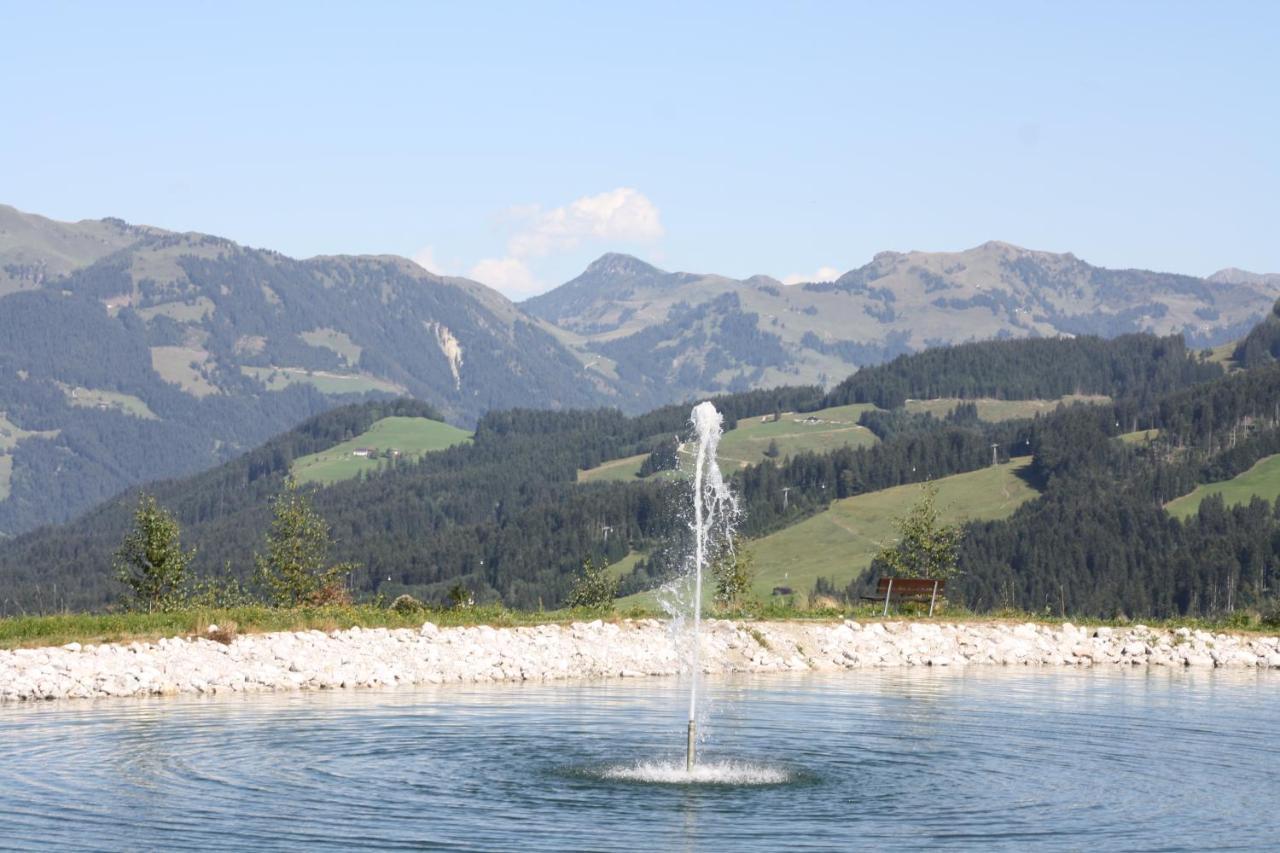 Absolute Active Roulette Apartments Kirchberg Kirchberg in Tirol Dış mekan fotoğraf